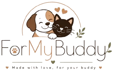 ForMyBuddy