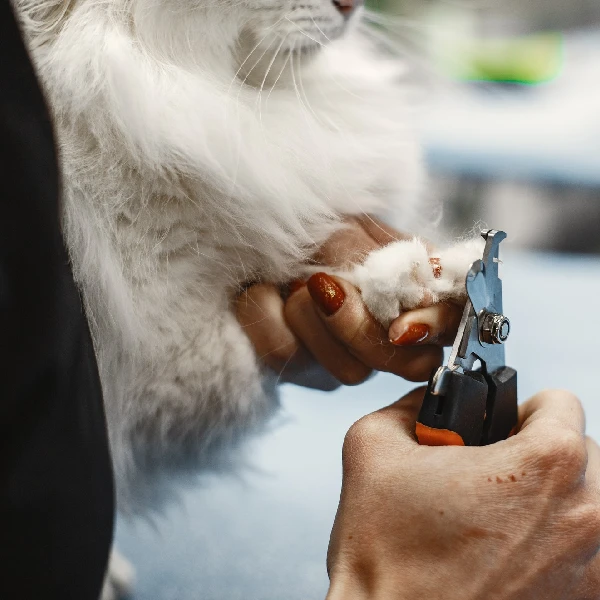 Nail care